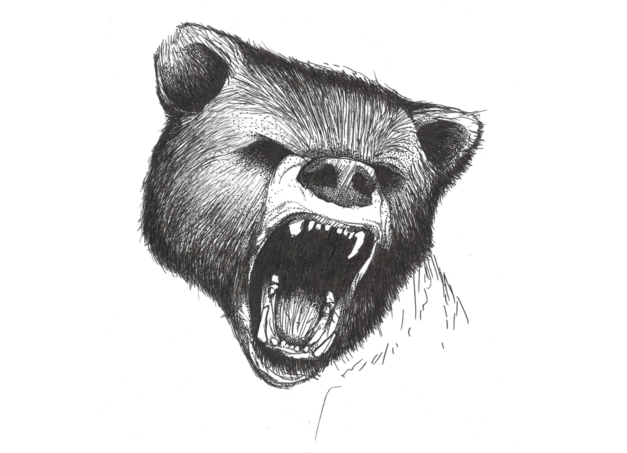 angry-bear-sketch