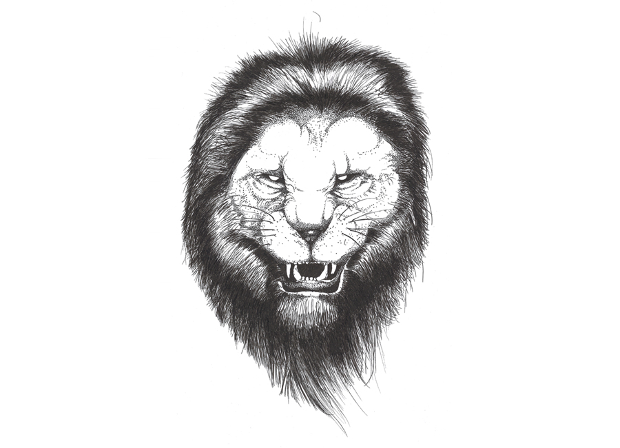 angry-lion-sketch