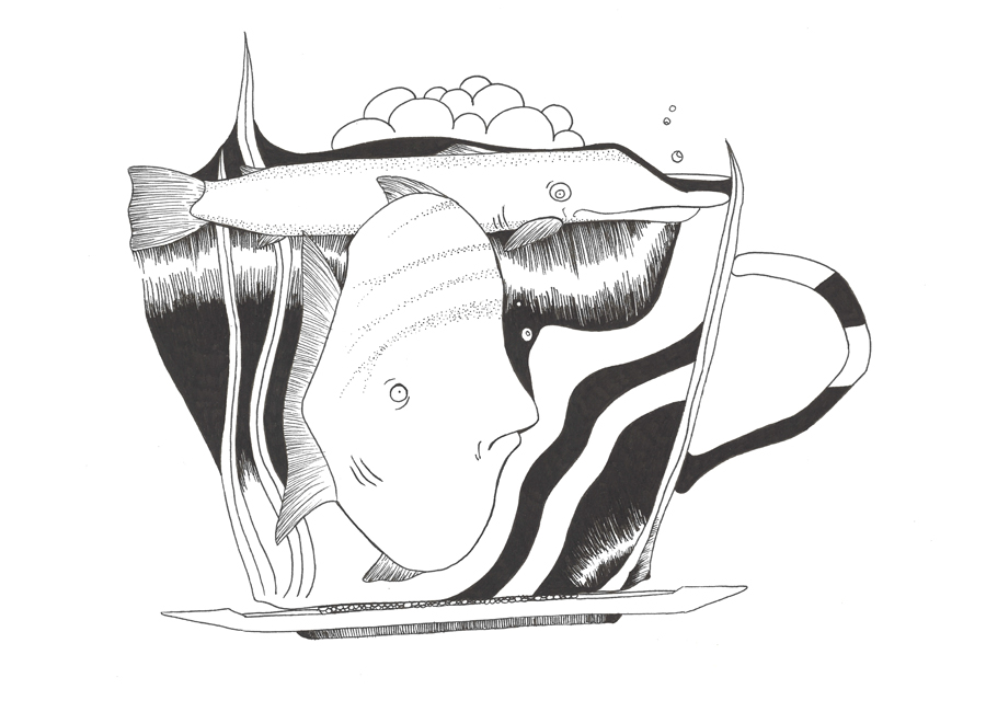 fish-in-cup-sketch